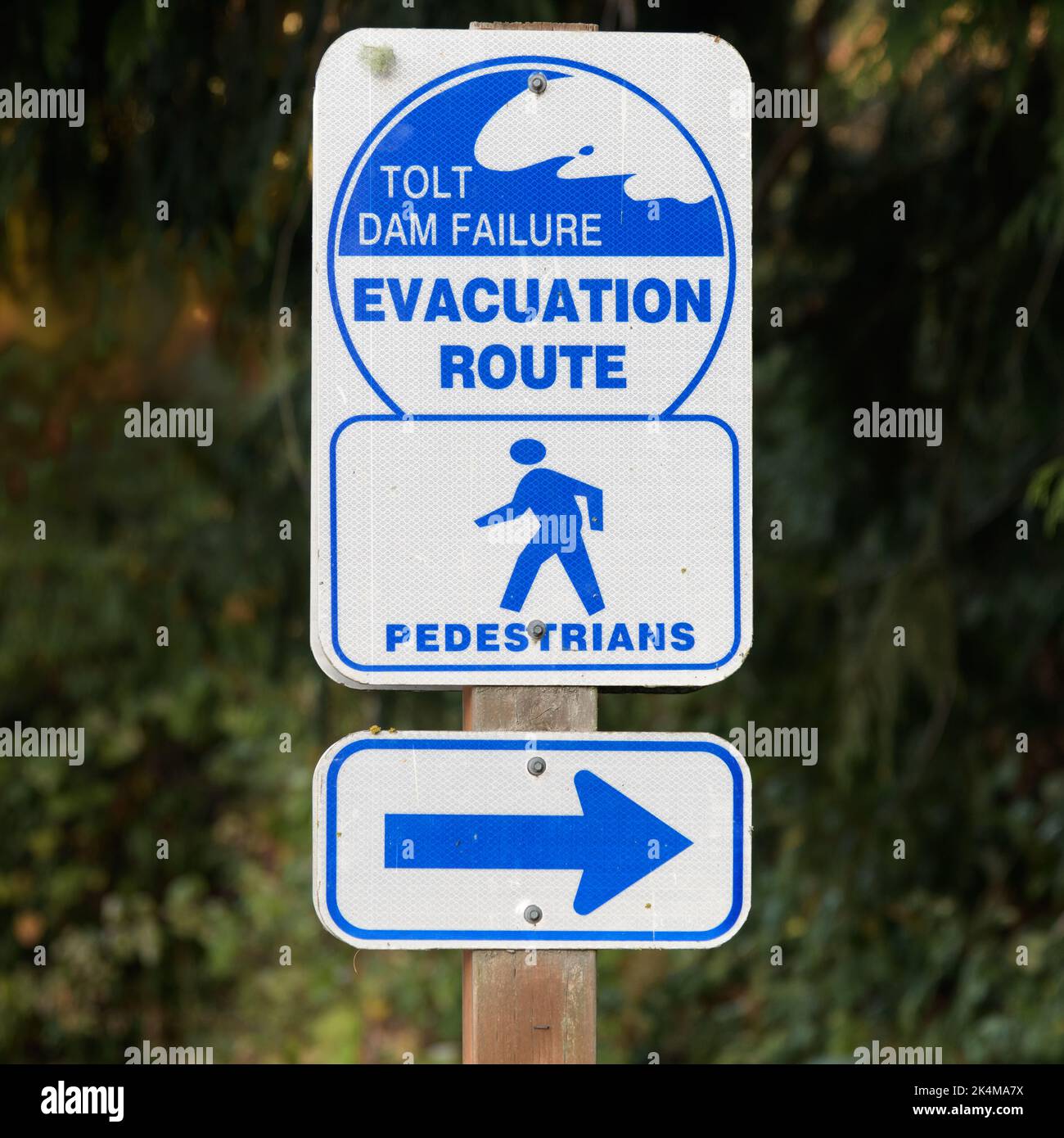 Carnation, WA, USA - October 02, 2022; Pedestrian evacuation sign for Tolt Dam Failure in Carnation with arrow in blue and white Stock Photo