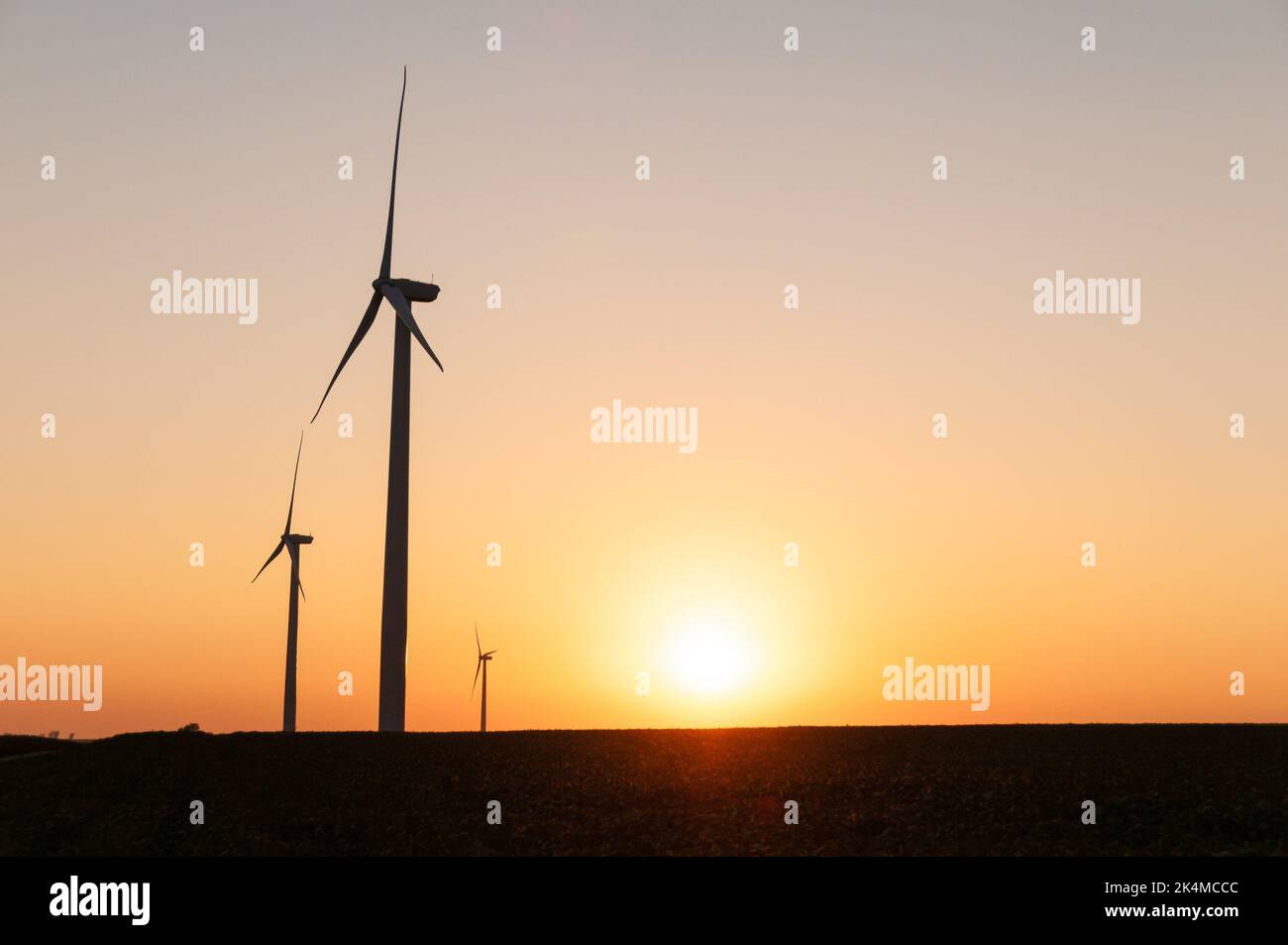Silhouette of large wind turbine farm at sunset, Dexter, Minnesota, USA