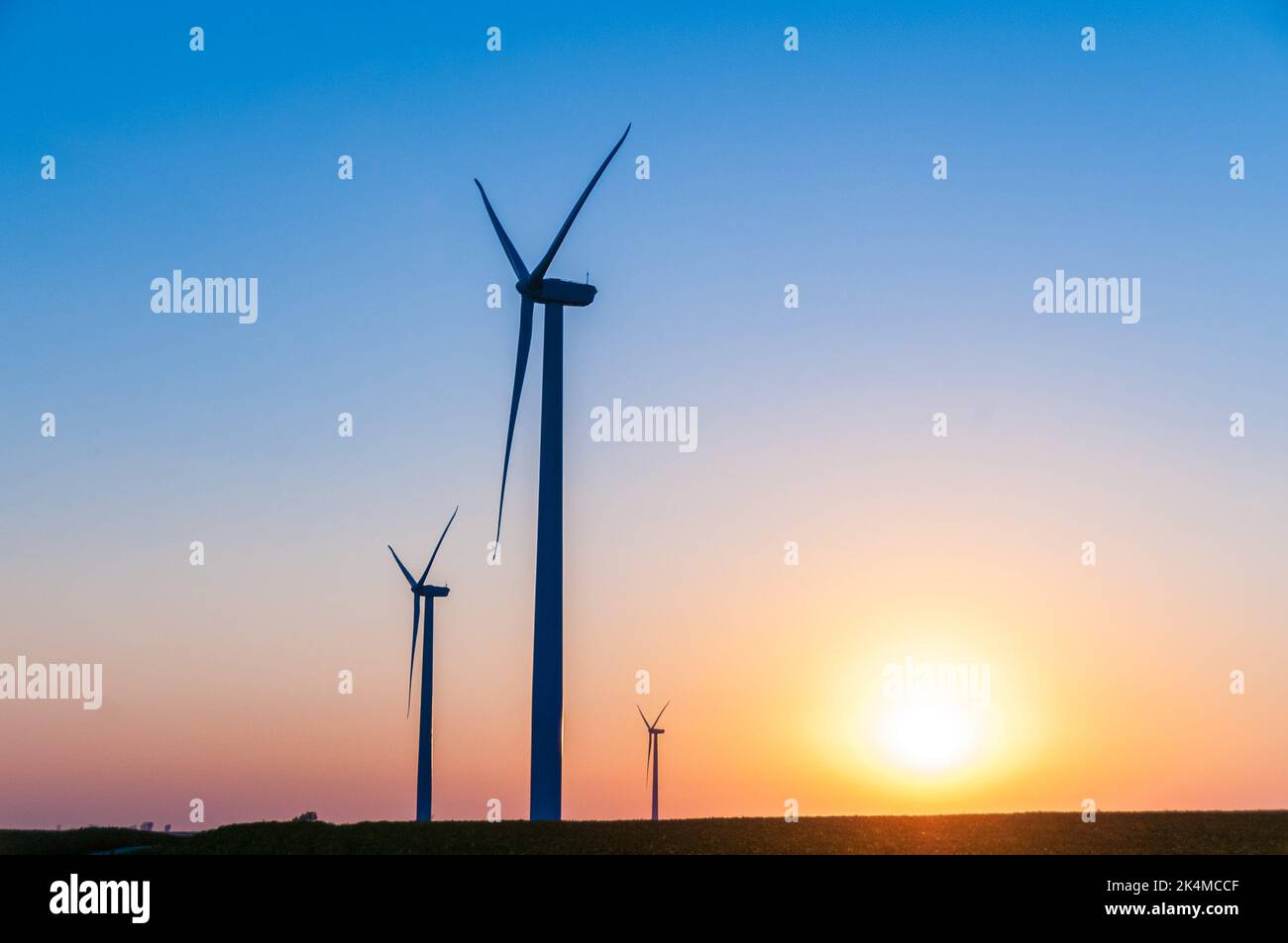Silhouette of large wind turbine farm at sunset, Dexter, Minnesota, USA