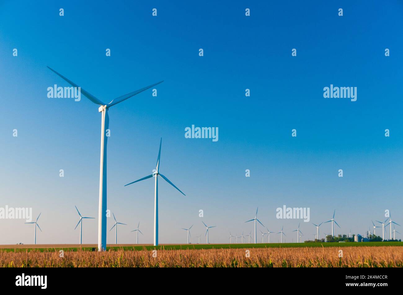 Large wind turbine farm against a blue sky at sunset, Dexter, Minnesota