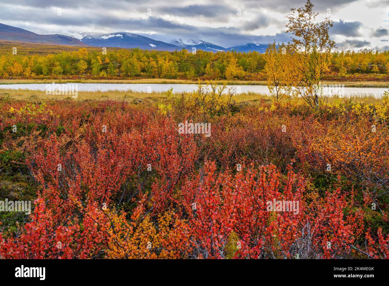 Autumn landscape with mountains in background and a lake, colorfull trees, Abisko, Swedish Lapland, Sweden. Stock Photo