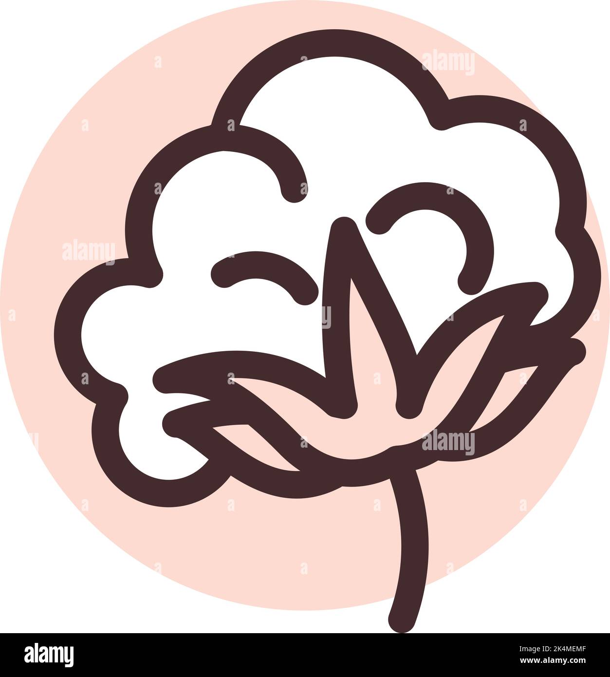 Cotton plant, illustration, vector on a white background Stock Vector