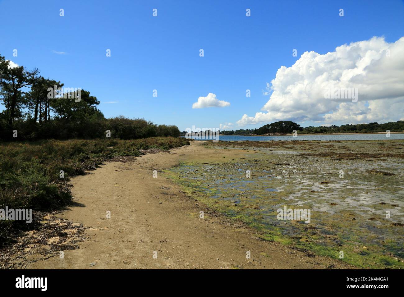 Shoreline and beach at low tide on the larger of the two Iles de Brouel