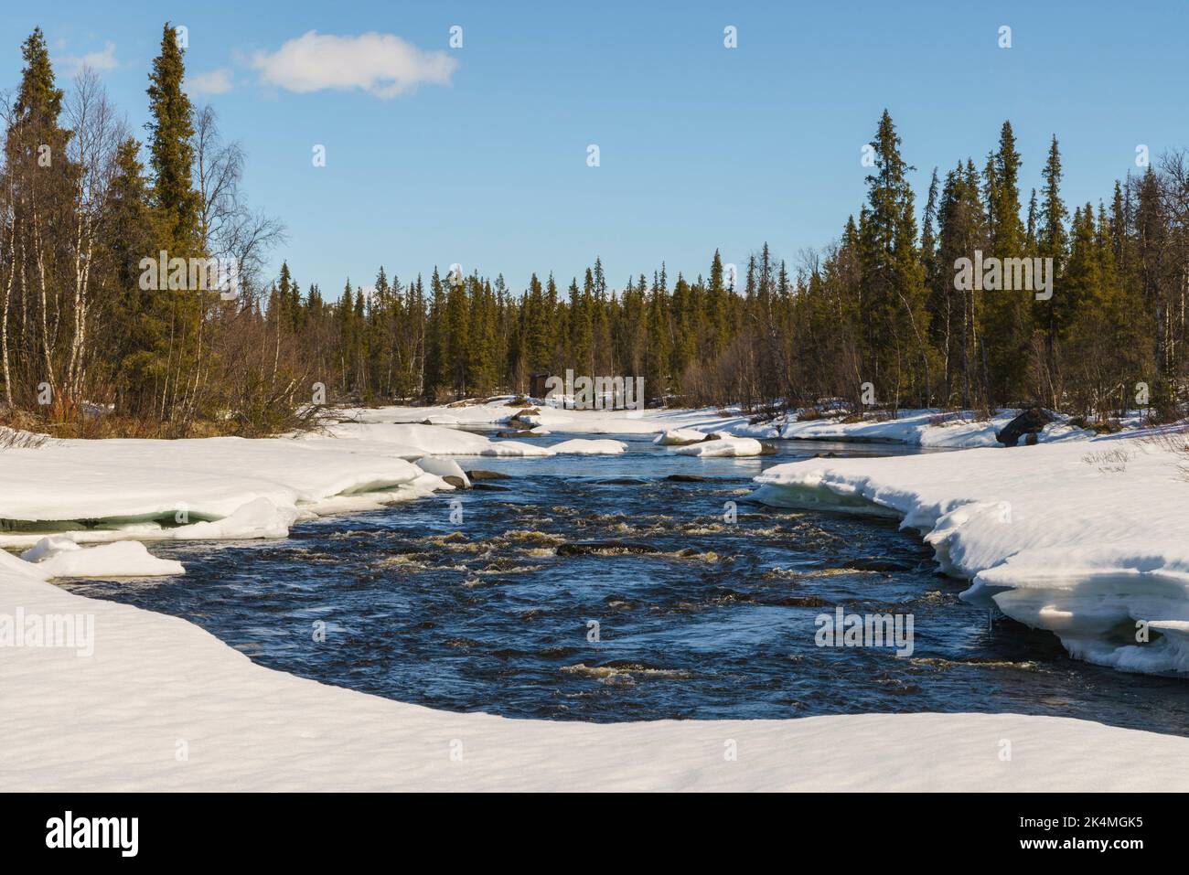 River at spring time with running water and snow on the sides in a forest, Gällivare, Swedish Lapland, Sweden. Stock Photo