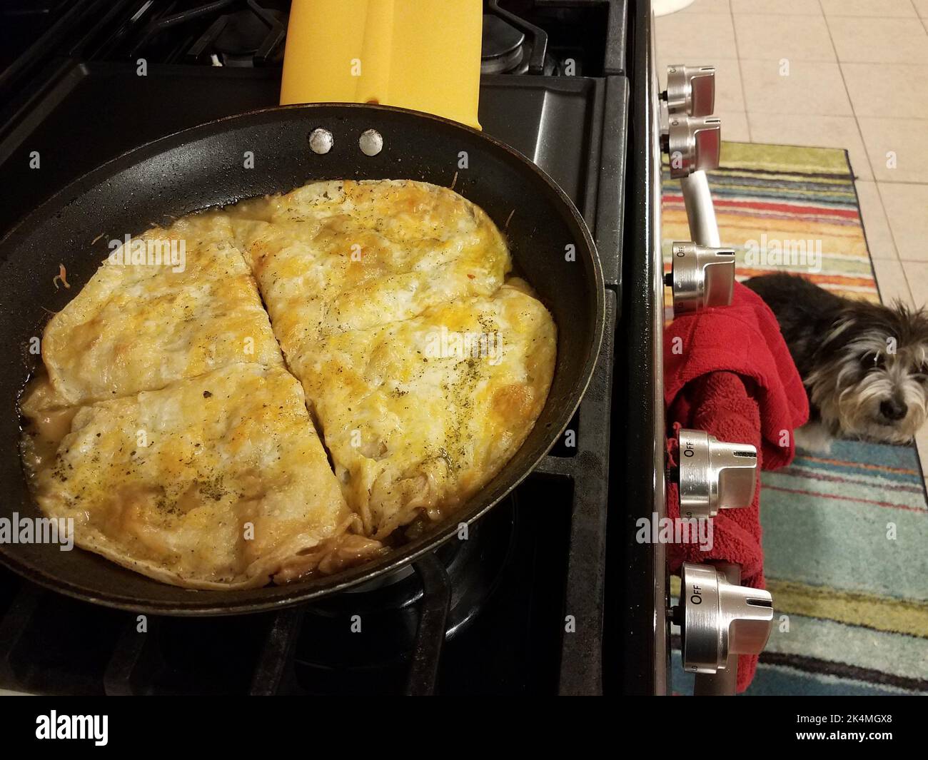 https://c8.alamy.com/comp/2K4MGX8/tortillas-with-cheese-cooking-in-a-frying-pan-or-skillet-on-the-stove-with-dog-2K4MGX8.jpg