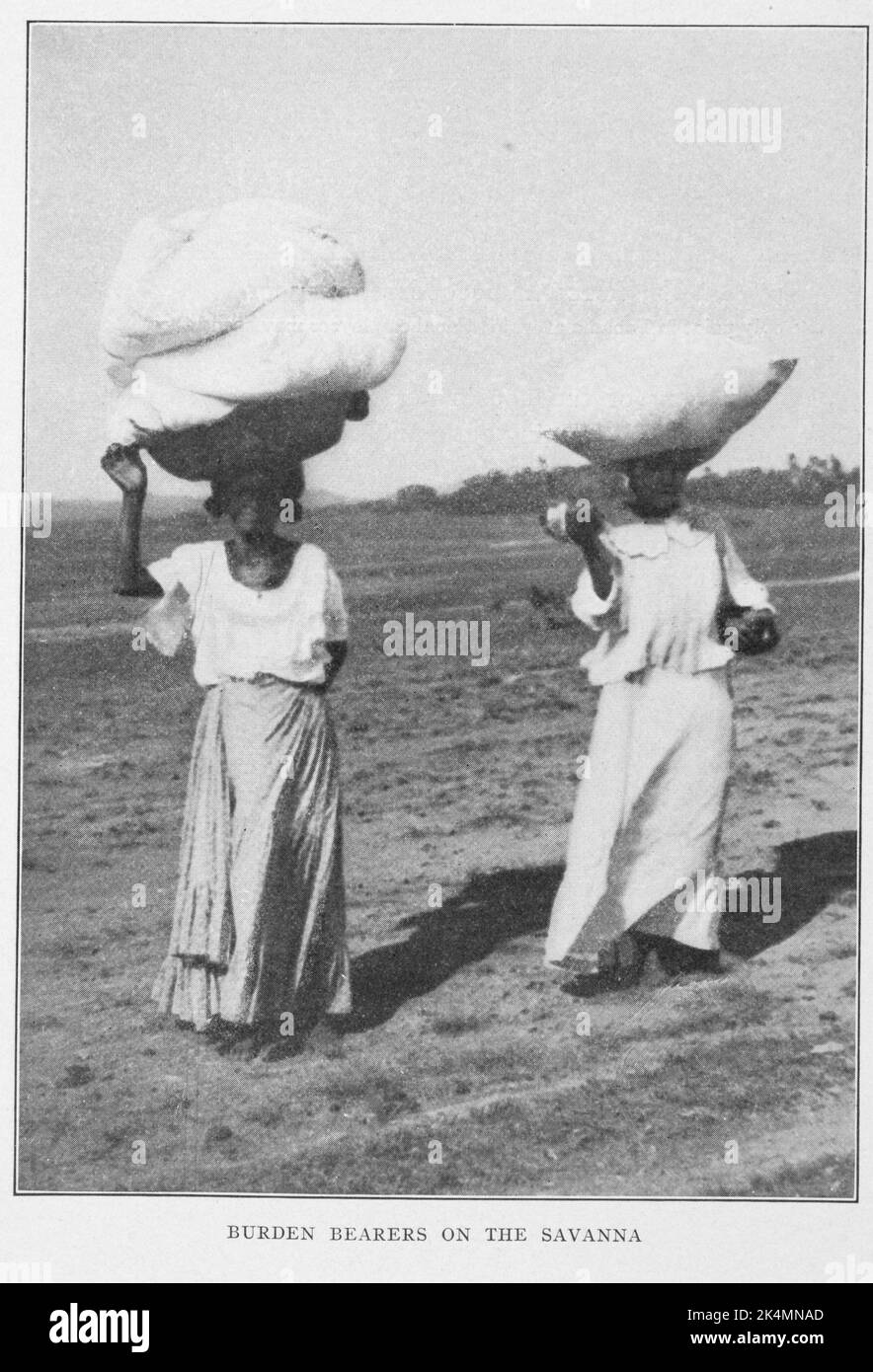 Savanna read Black and White Stock Photos & Images Alamy