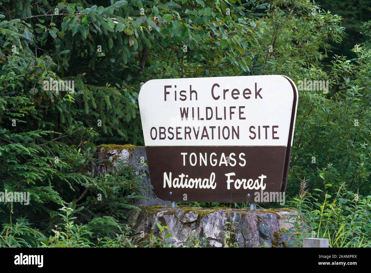 Entrance sign of fish Creek, black and grizzly bear wildlife observation site, Tongass national forest, Alaska, USA. Stock Photo