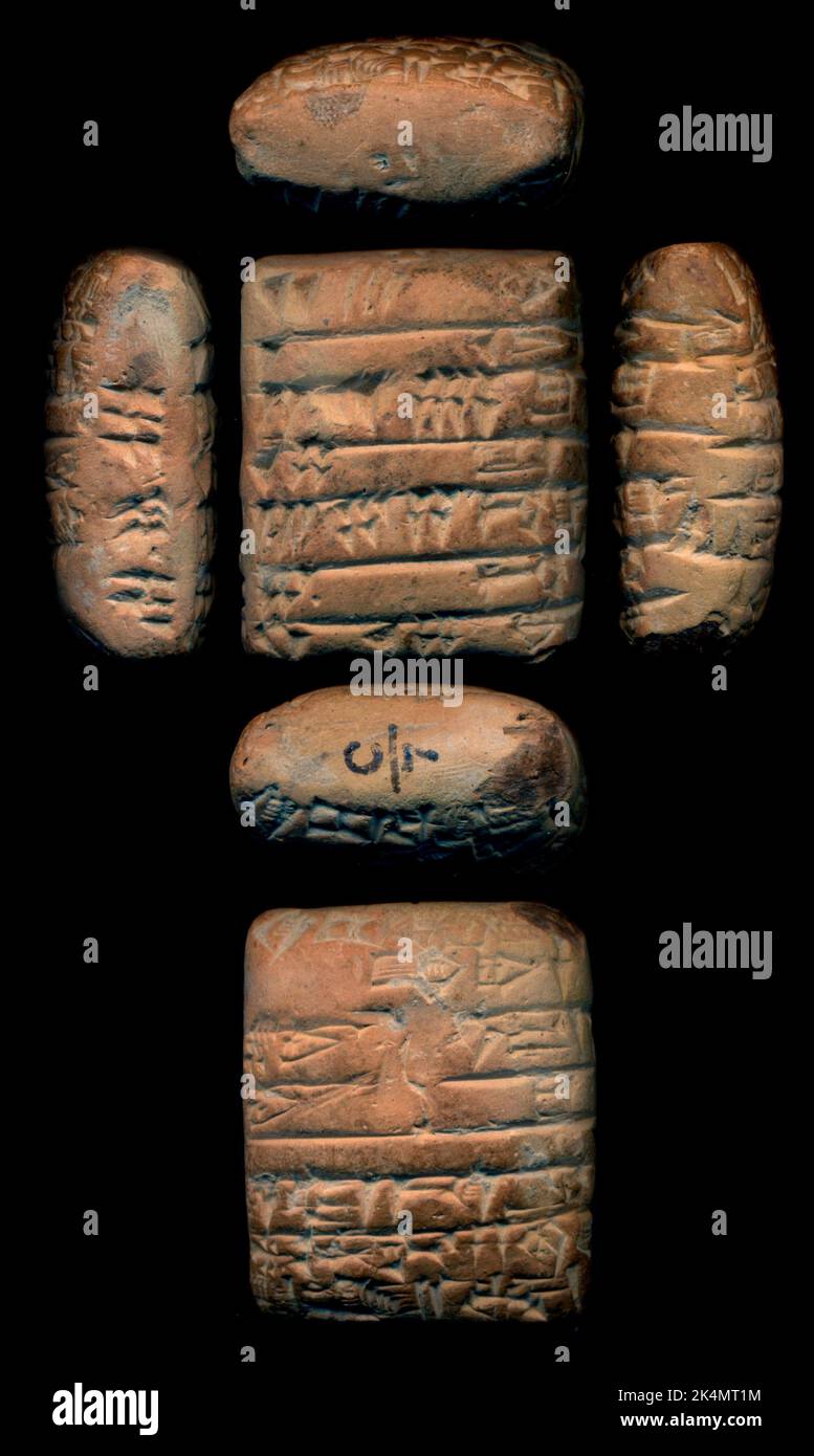 C7. Eames, Wilberforce, 18551937 (Collector). Wilberforce Eames