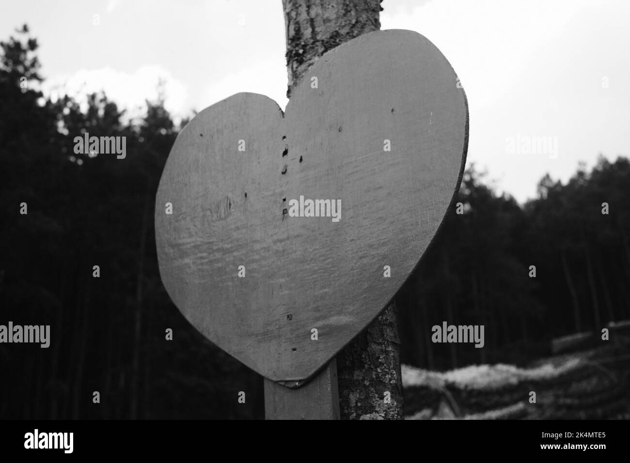 Monochrome photo of a heart-shaped board stuck in a tree in the Cikancung area - Indonesia Stock Photo