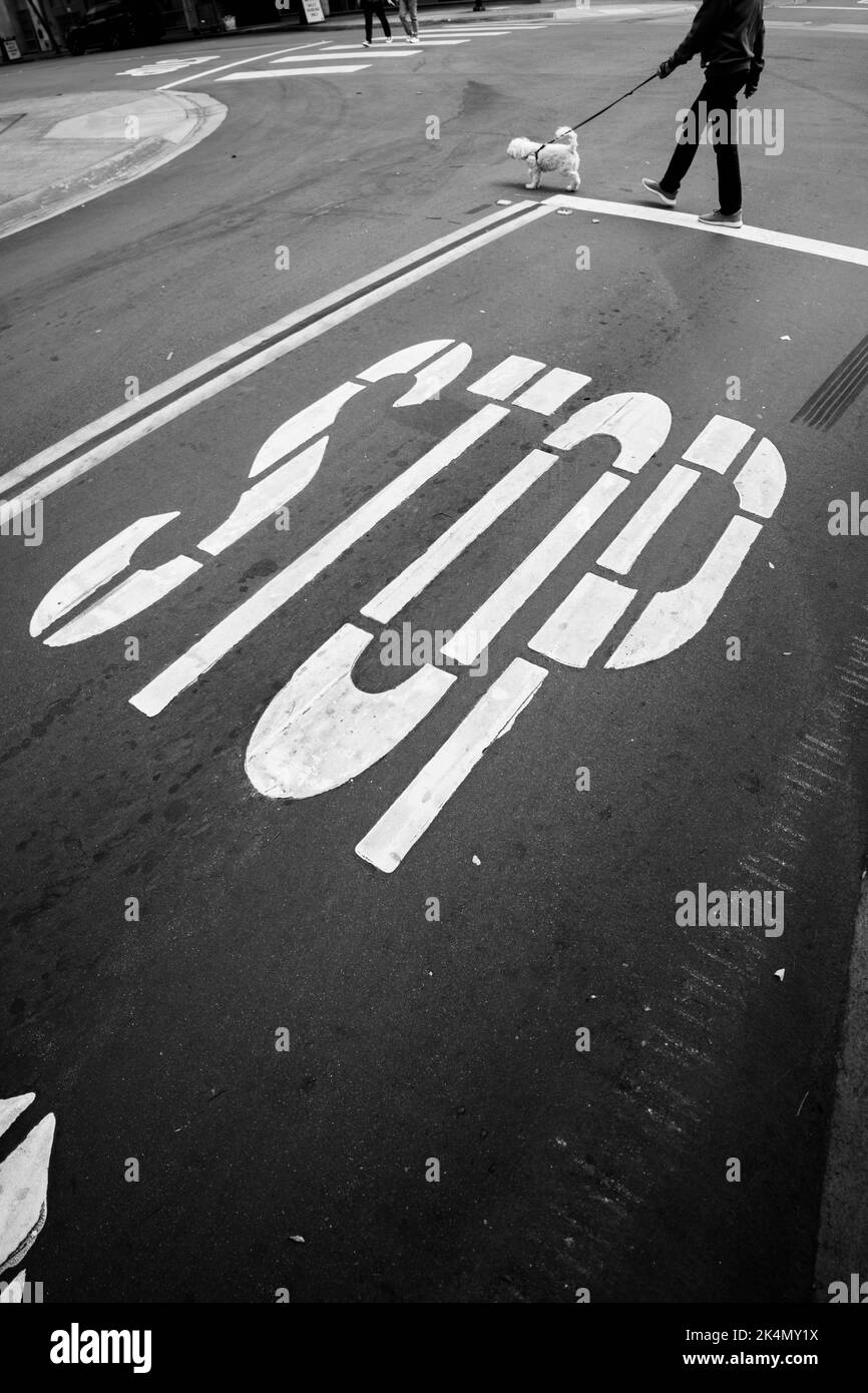 A vertical shot of the stop sign on the street in black and white Stock Photo