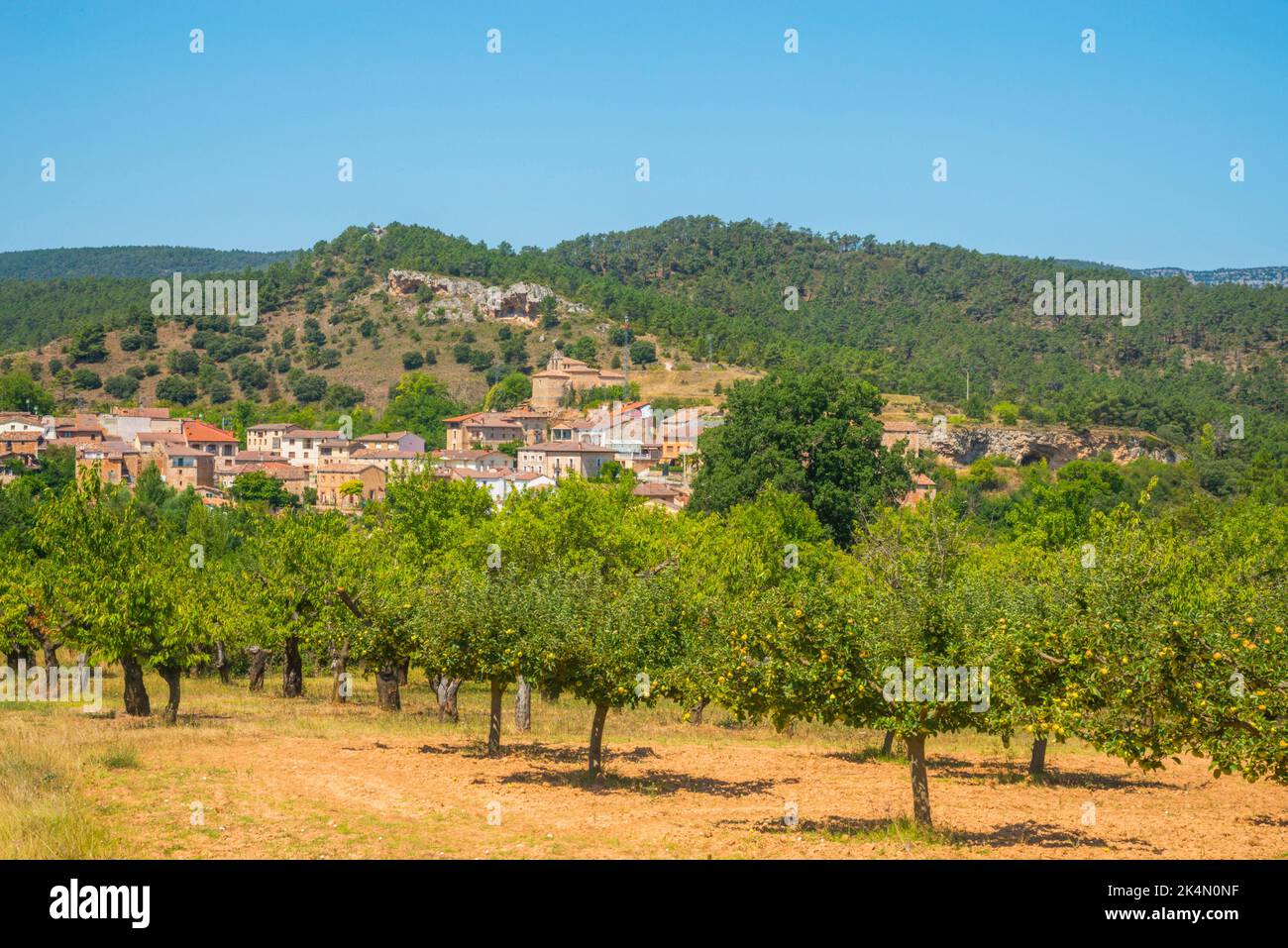 Apple trees and overview of the village. Aguas Candidas, Burgos province, Castilla Leon, Spain. Stock Photo