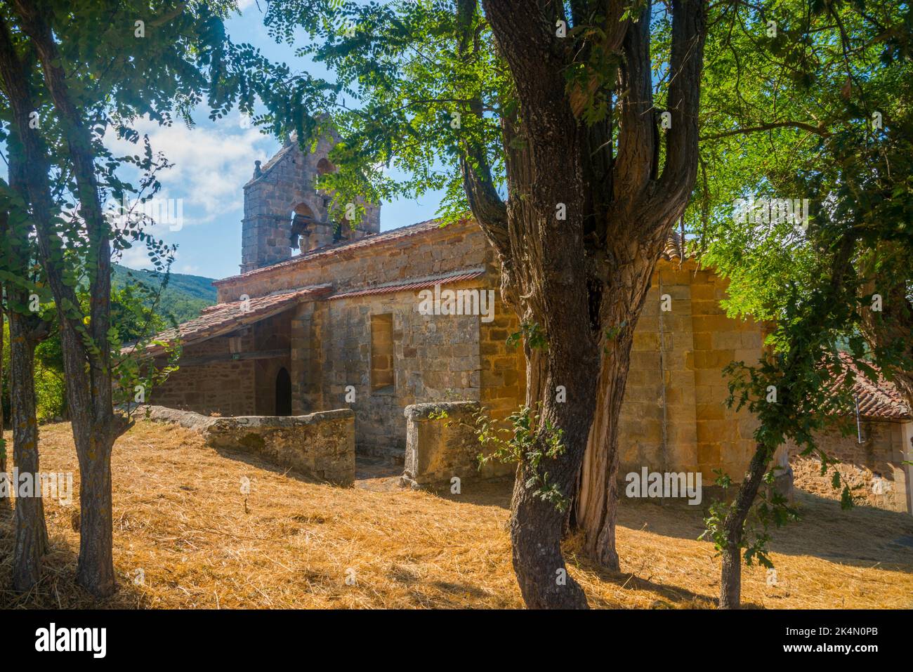 Romanesque church. San Andres de Valdelomar, Cantabria, Spain. Stock Photo