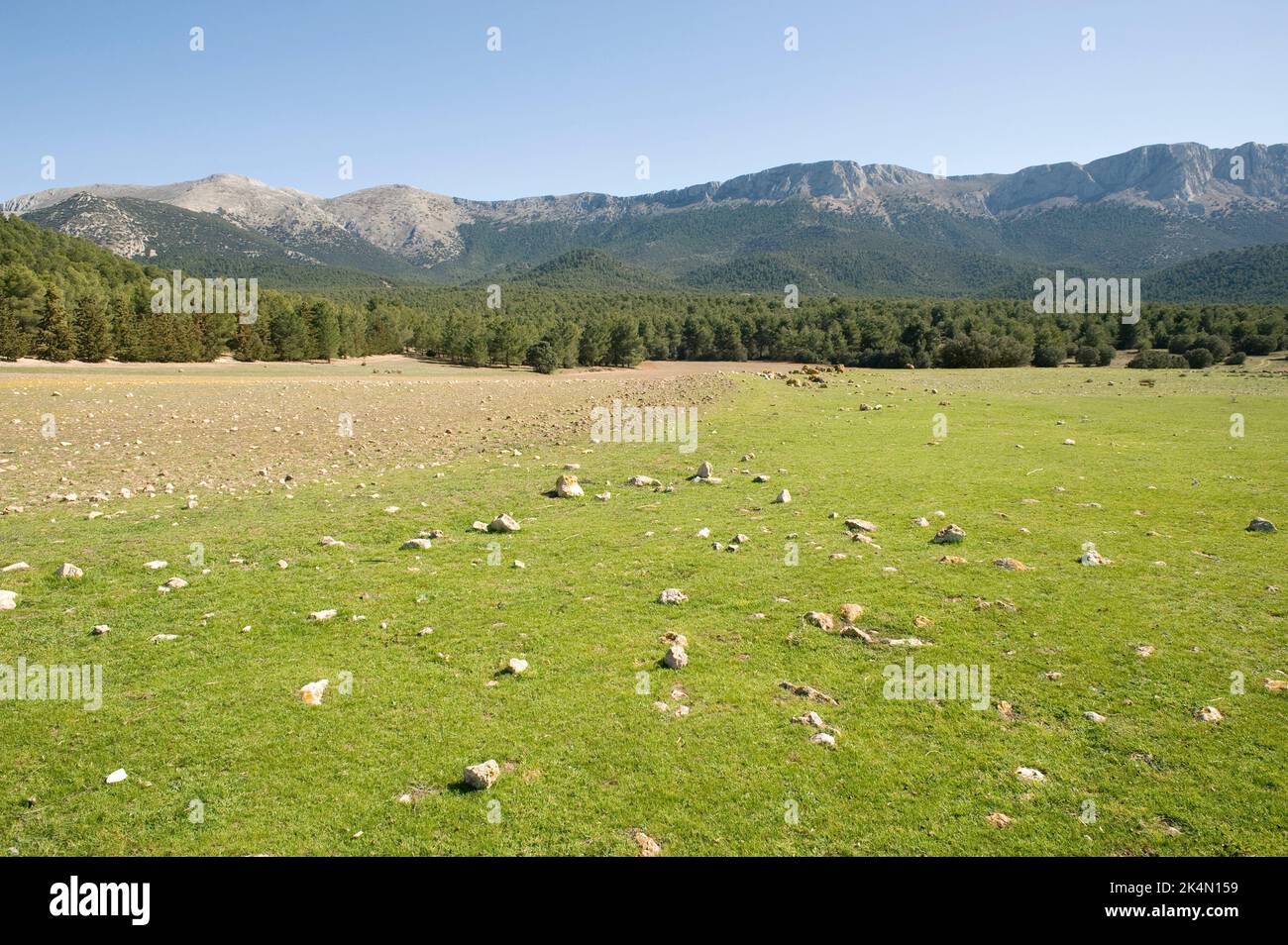 Sierra de Orce seen from Fuente Nueva. Granada, Andalusia, Spain Stock