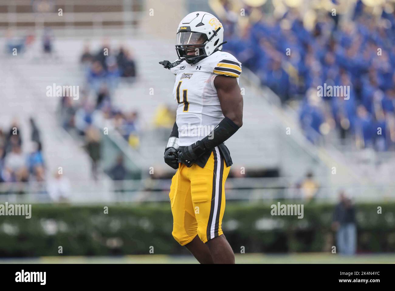 Newark, Delaware, USA. 1st Oct, 2022. Towson linebacker DANIEL RAYMOND (4) in action during a week five game between the Delaware Blue Hens and the Towson Tiger Saturday, Oct. 01, 2022; at Tubby Raymond Field at Delaware Stadium in Newark, DE. (Credit Image: © Saquan Stimpson/ZUMA Press Wire) Stock Photo