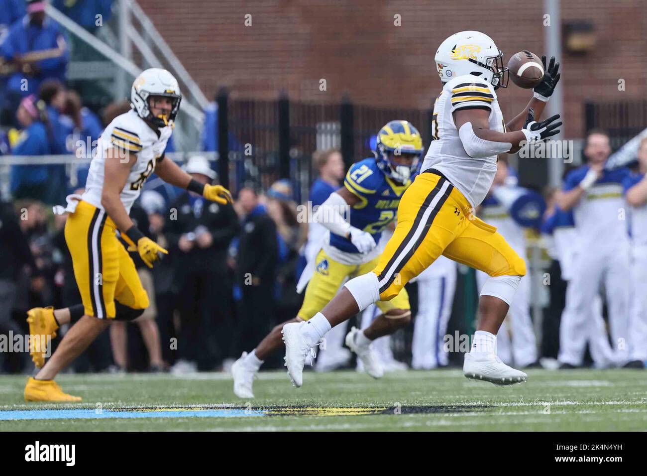 Newark, Delaware, USA. 1st Oct, 2022. Towson tight end BROCKMAN WALLACE II (45) catches a passs during a week five game between the Delaware Blue Hens and the Towson Tiger Saturday, Oct. 01, 2022; at Tubby Raymond Field at Delaware Stadium in Newark, DE. (Credit Image: © Saquan Stimpson/ZUMA Press Wire) Stock Photo