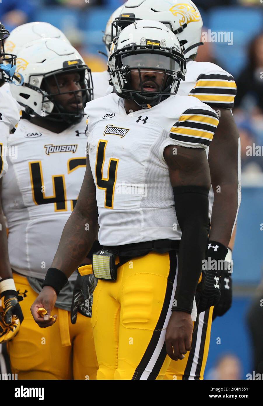 Newark, Delaware, USA. 1st Oct, 2022. Towson quarterback TYRRELL PIGROME (4) in action during a week five game between the Delaware Blue Hens and the Towson Tiger Saturday, Oct. 01, 2022; at Tubby Raymond Field at Delaware Stadium in Newark, DE. (Credit Image: © Saquan Stimpson/ZUMA Press Wire) Stock Photo