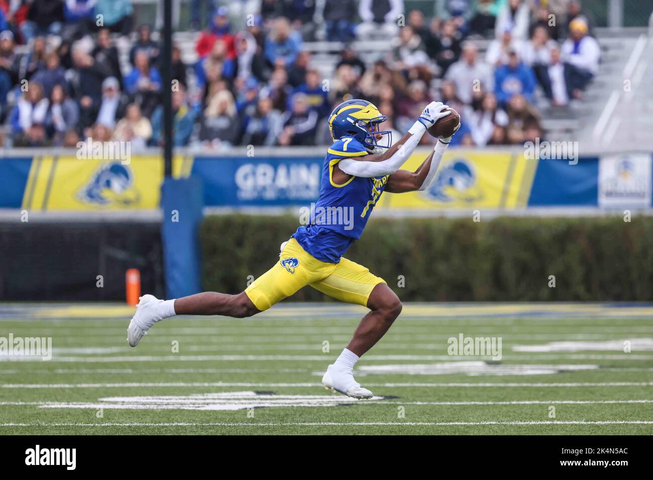 Newark, Delaware, USA. 1st Oct, 2022. Delaware Fightin Blue Hens wide receiver MICHAEL JACKSON (7) in action during a week five game between the Delaware Blue Hens and the Towson Tiger Saturday, Oct. 01, 2022; at Tubby Raymond Field at Delaware Stadium in Newark, DE. (Credit Image: © Saquan Stimpson/ZUMA Press Wire) Stock Photo