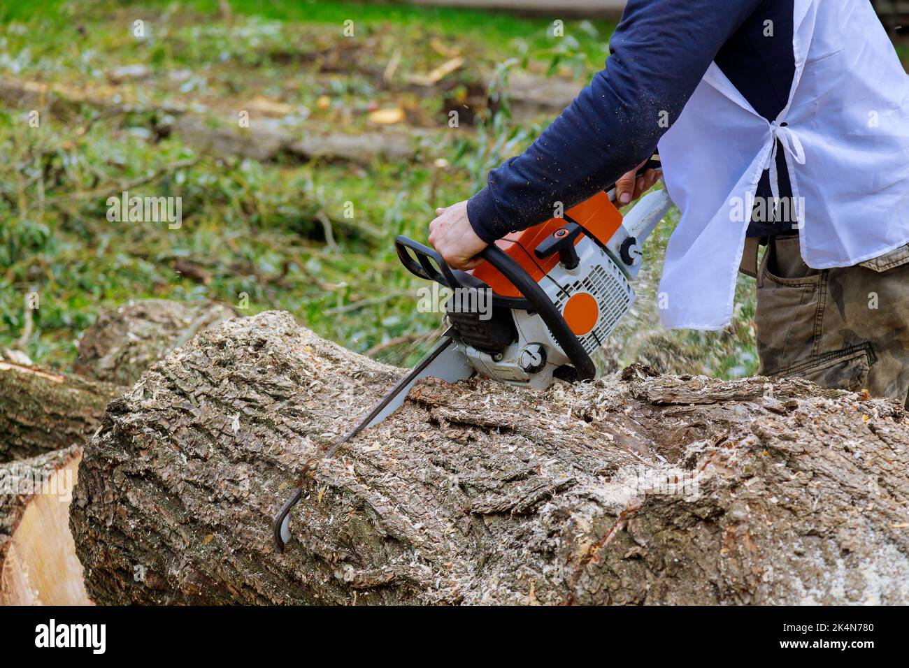 Chainsawing hi-res stock photography and images - Alamy