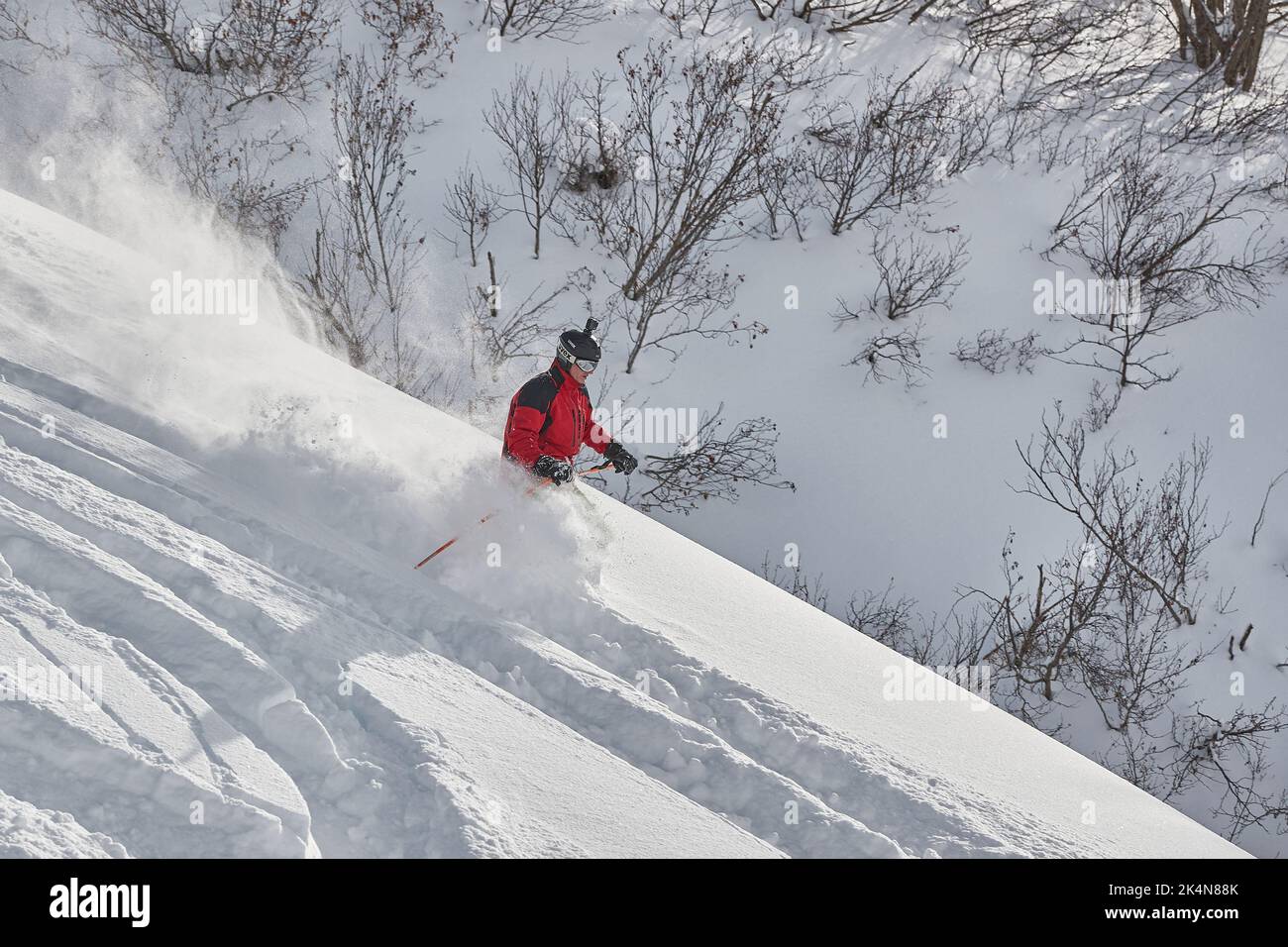 Skiing in fresh powder snow Stock Photo - Alamy