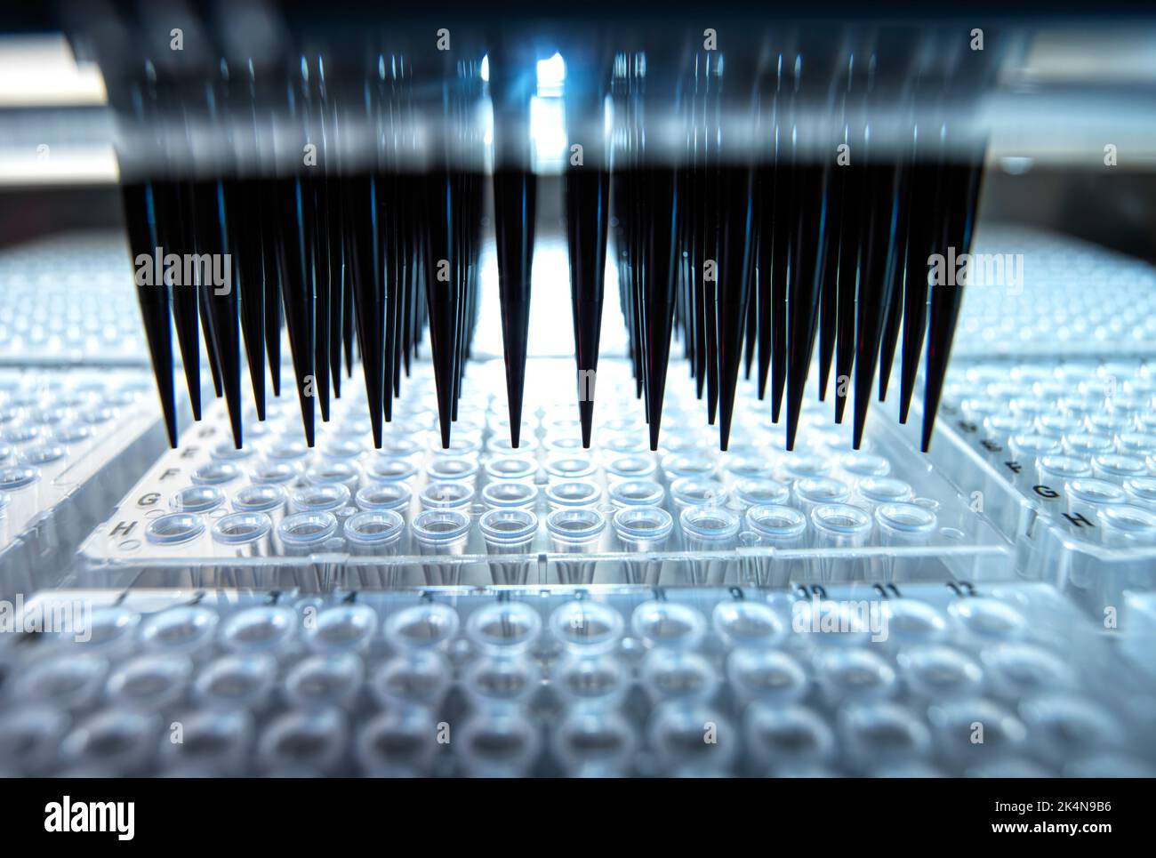 Analysis of samples using automated robotics. Stock Photo