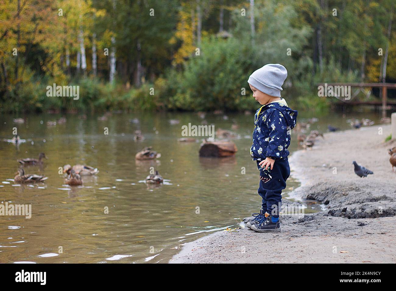 Boy looking at pond hi-res stock photography and images - Alamy