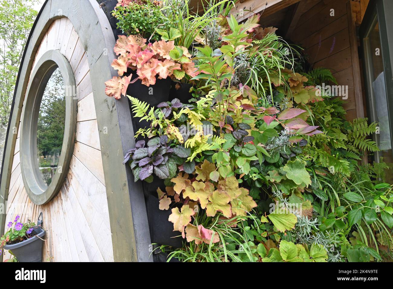 Green Wall Eco Friendly Vertical Garden On Building Stock Photo Photo Inspiration