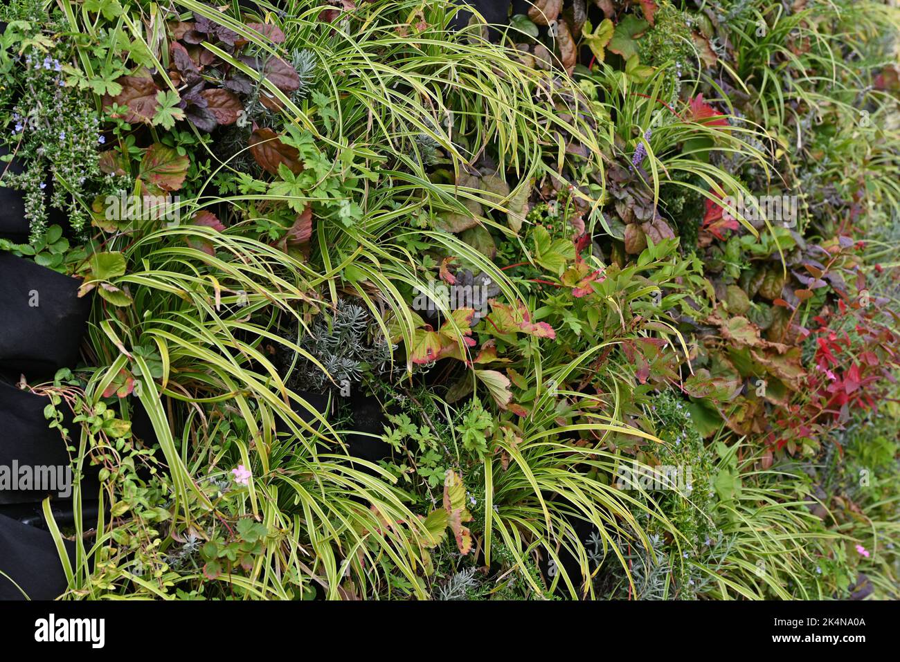 Curated visual reference: Curated Ecologically Friendly Vertical Gardens Gallery View 37