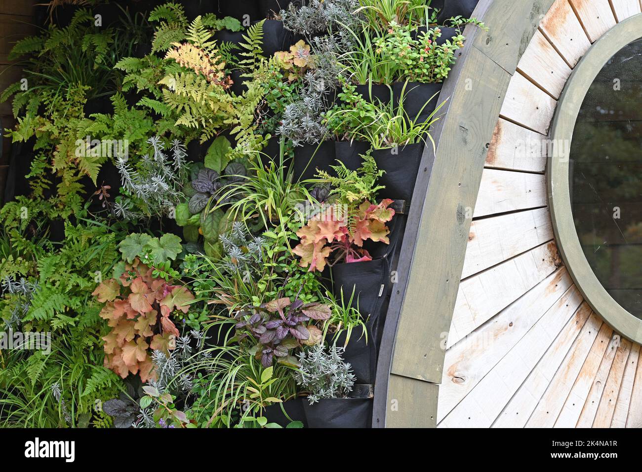 Curated visual reference: Gallery Detail: Green Wall Eco Friendly Vertical Garden On Building Stock Photo