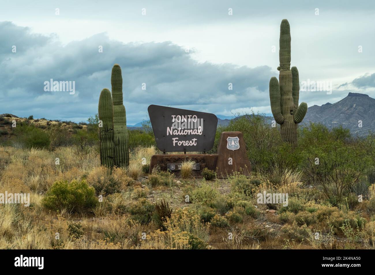 Tonto NF, AZ, USA - Dec 25, 2021: A welcoming signboard at the entry point of park Stock Photo