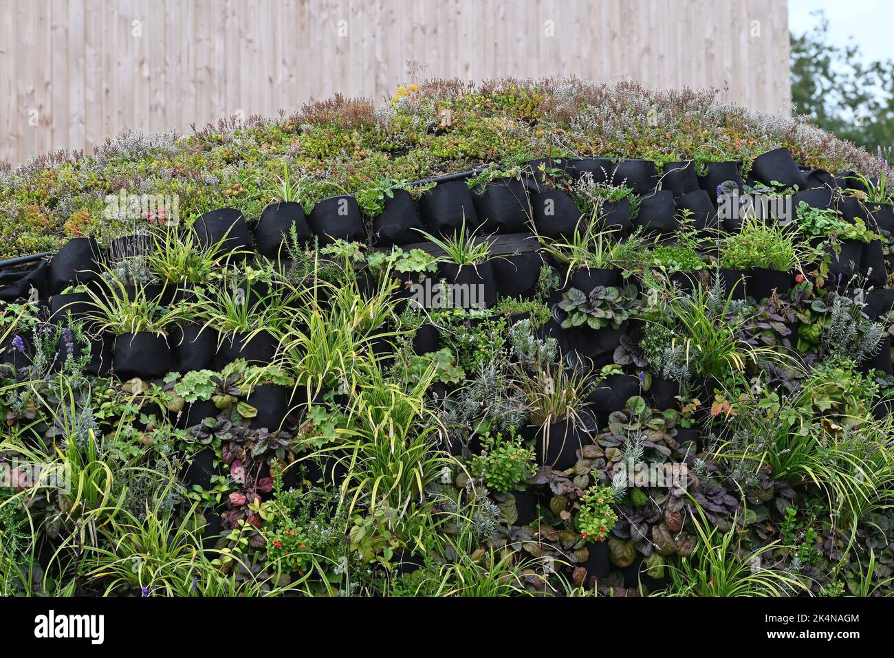 Photo inspiration: Curated Ecologically Friendly Vertical Gardens Gallery View 39