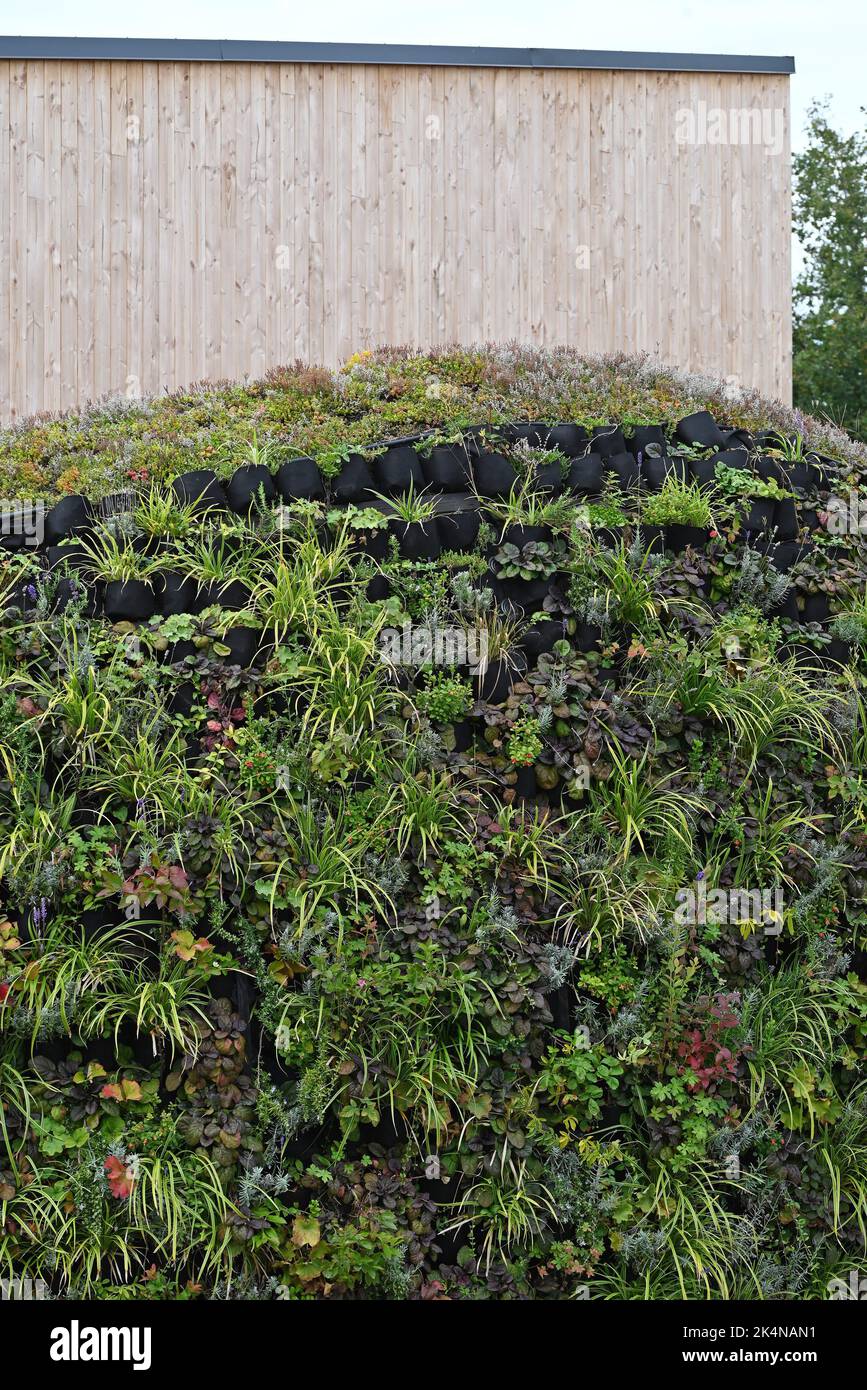 Curated Ecologically Friendly Vertical Gardens Gallery View 46