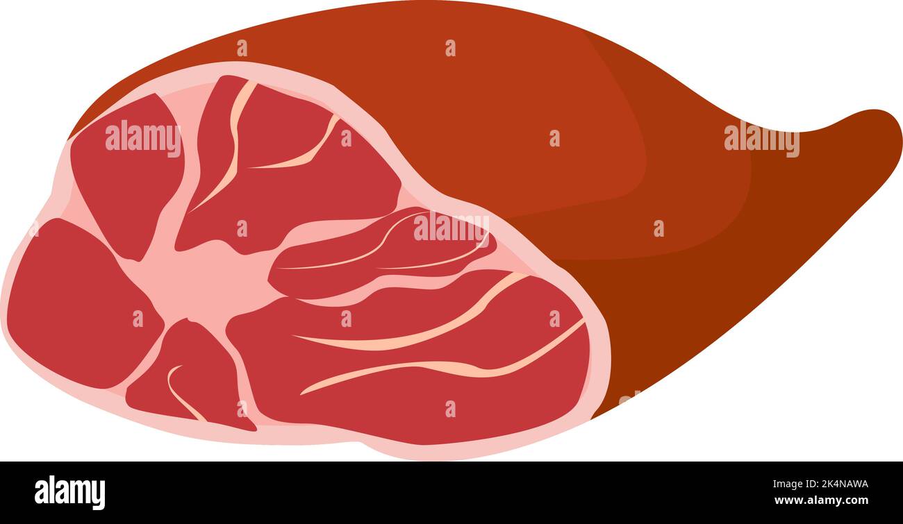 Big meat, illustration, vector on a white background Stock Vector Image ...