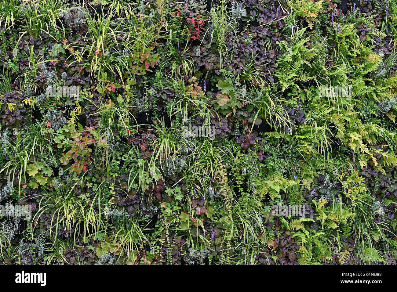 Photo inspiration: Curated Ecologically Friendly Vertical Gardens Gallery View 34