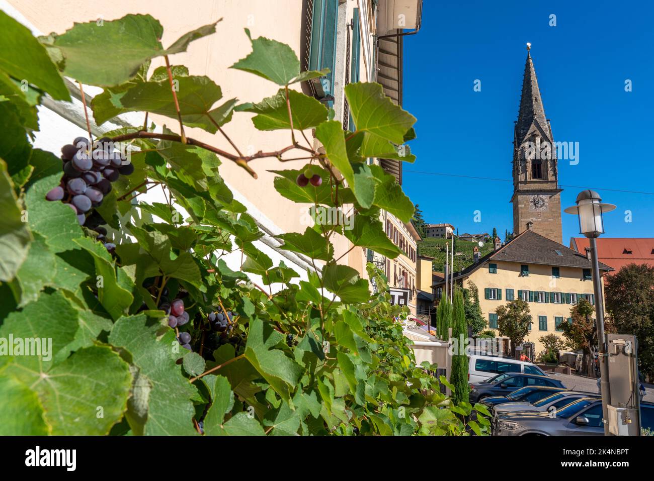The village of Tramin an der Weinstraße, in South Tyrol, Gewürztraminer