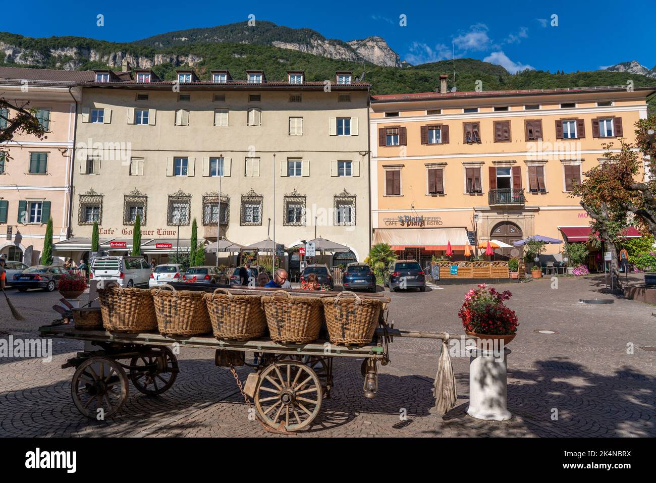 The village of Tramin an der Weinstraße, in South Tyrol, Gewürztraminer