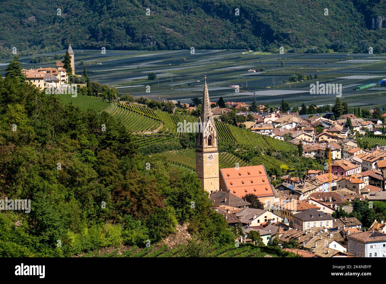The village of Tramin an der Weinstraße, in South Tyrol, Gewürztraminer