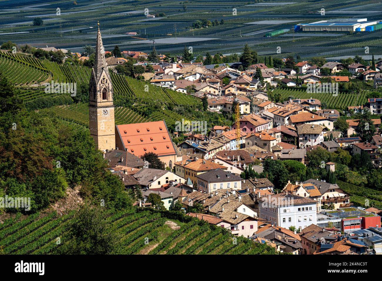 The village of Tramin an der Weinstraße, in South Tyrol, Gewürztraminer