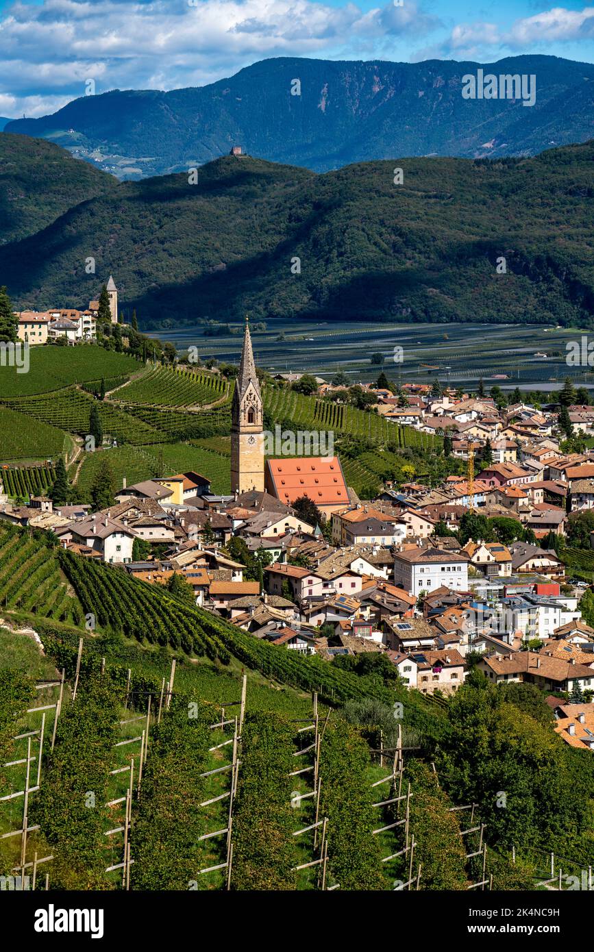 The village of Tramin an der Weinstraße, in South Tyrol, Gewürztraminer