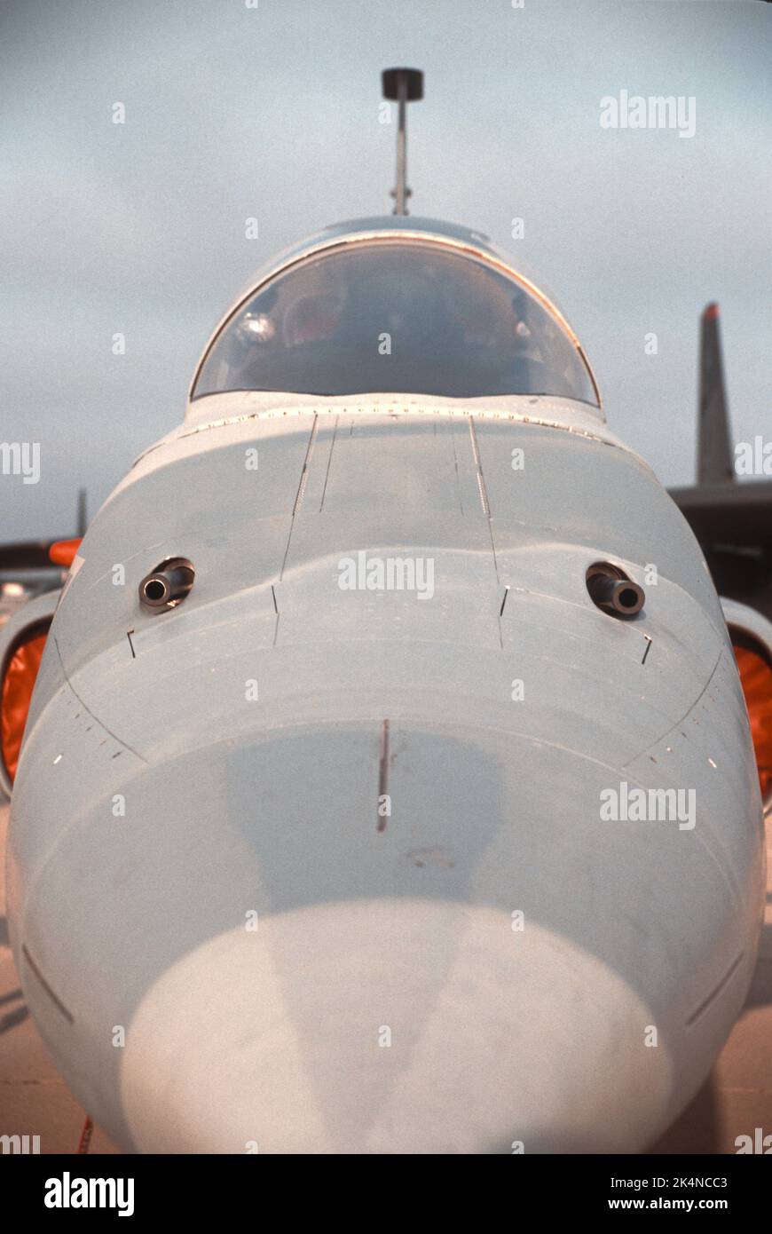 Nose of a Northup F-5 on display at an airshow Stock Photo