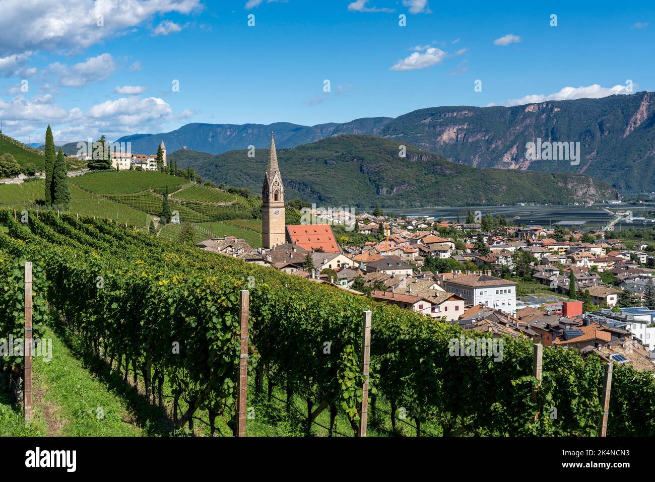 The village of Tramin an der Weinstraße, in South Tyrol, Gewürztraminer