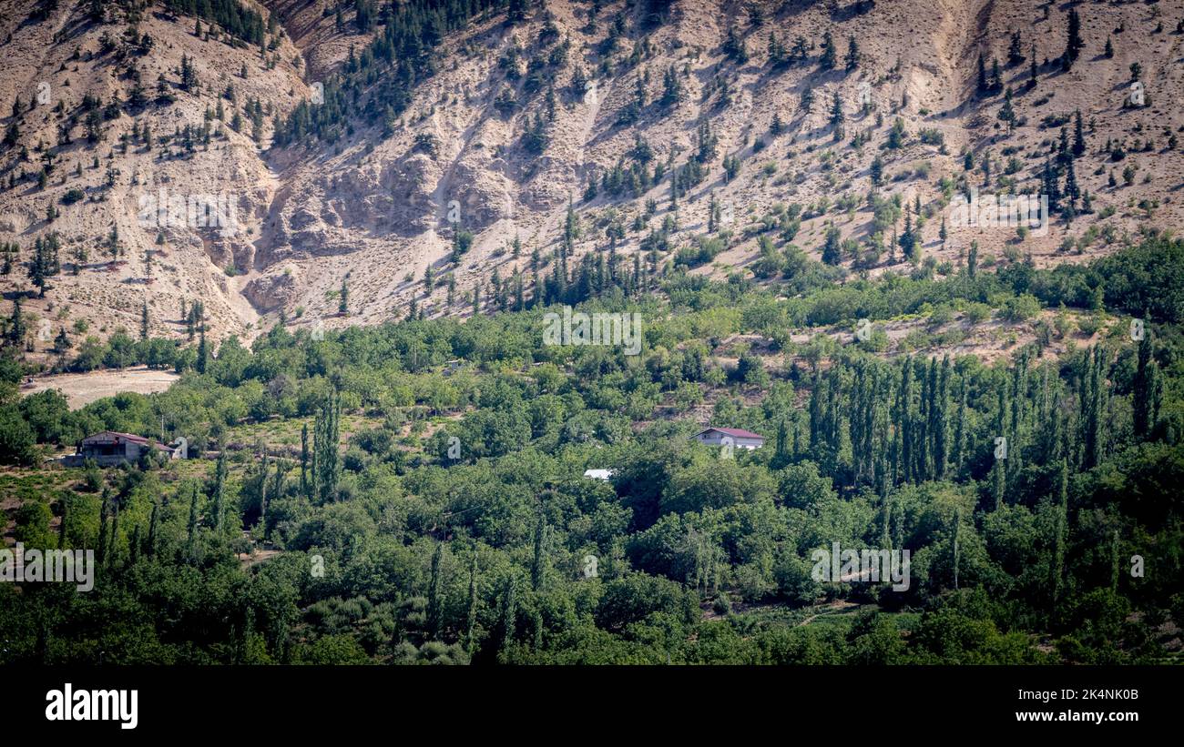 A Walnut Farm on the Side of a High, Dry Mountainside Stock Photo