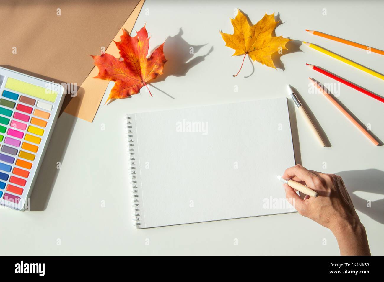 https://c8.alamy.com/comp/2K4NK53/autumn-composition-woman-hand-holding-brush-over-blank-sketchbook-page-and-begin-painting-watercolor-paint-colored-pencils-and-autumn-maple-fall-2K4NK53.jpg