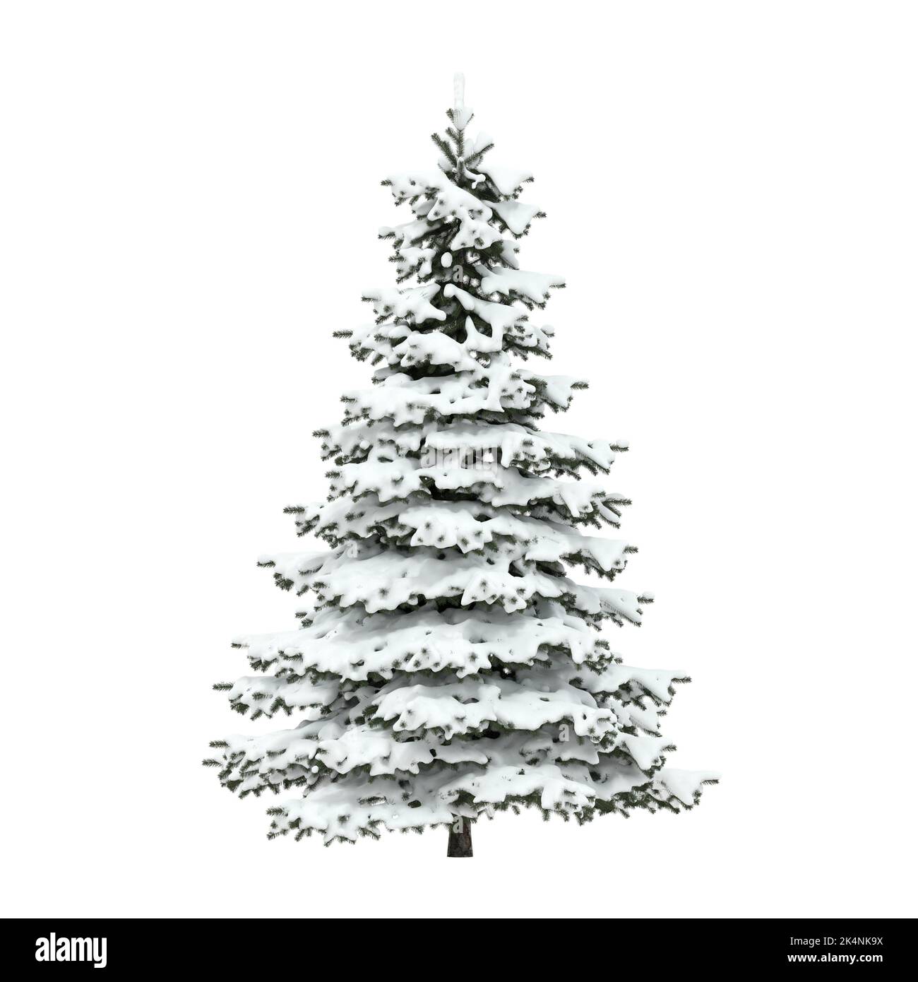 Christmas tree covered with snow on white background 3D rendering