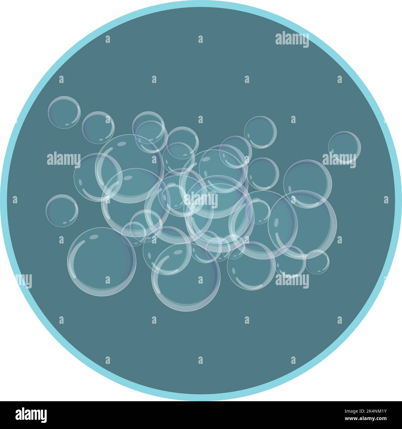 Shampoo bubbles, illustration, vector on a white background. Stock Vector