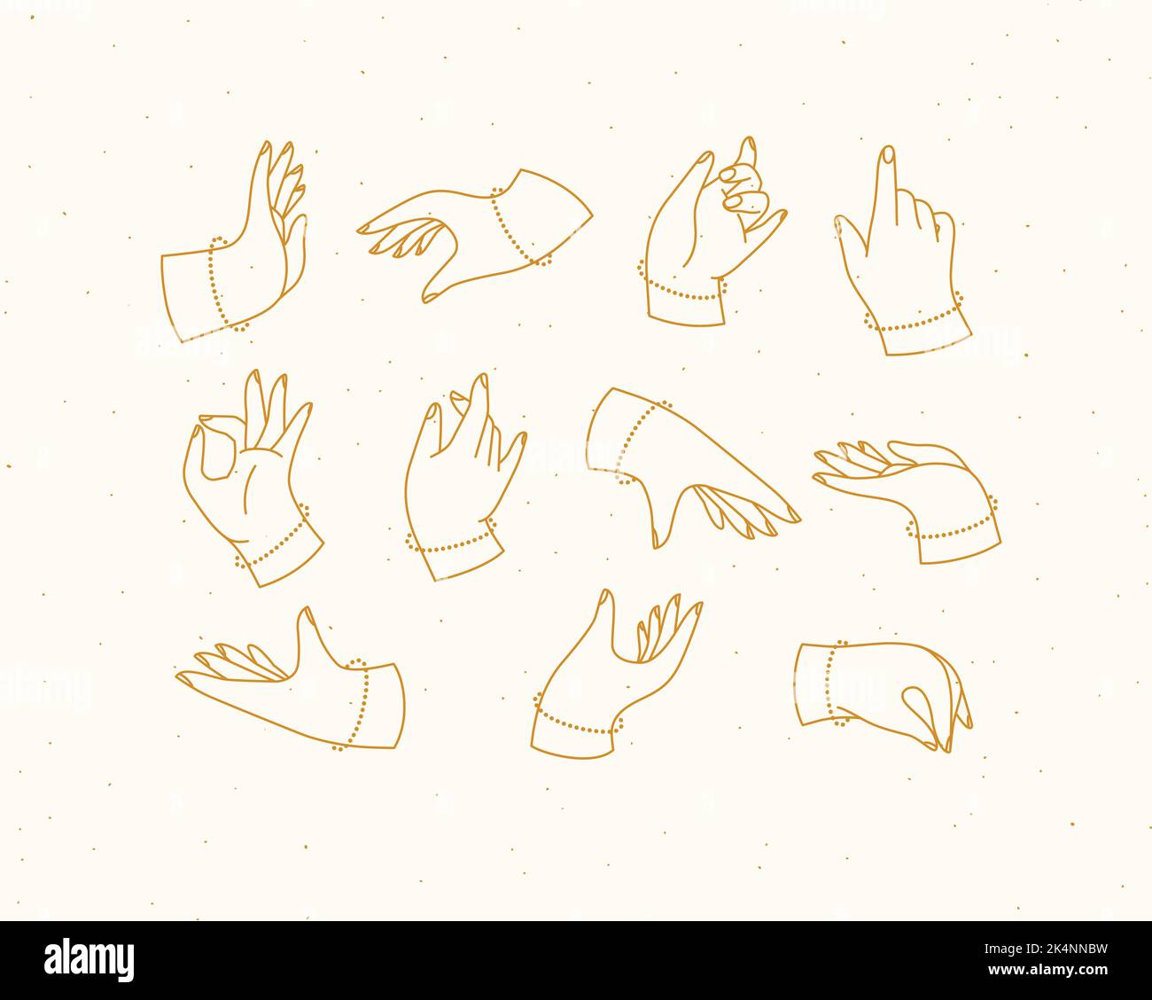 Set Of Renaissance Hands With Fingers Icons In Different Positions Set Of Renaissance Hands With Fingers Icons In Different Positions Drawing On Beige Background 2K4NNBW
