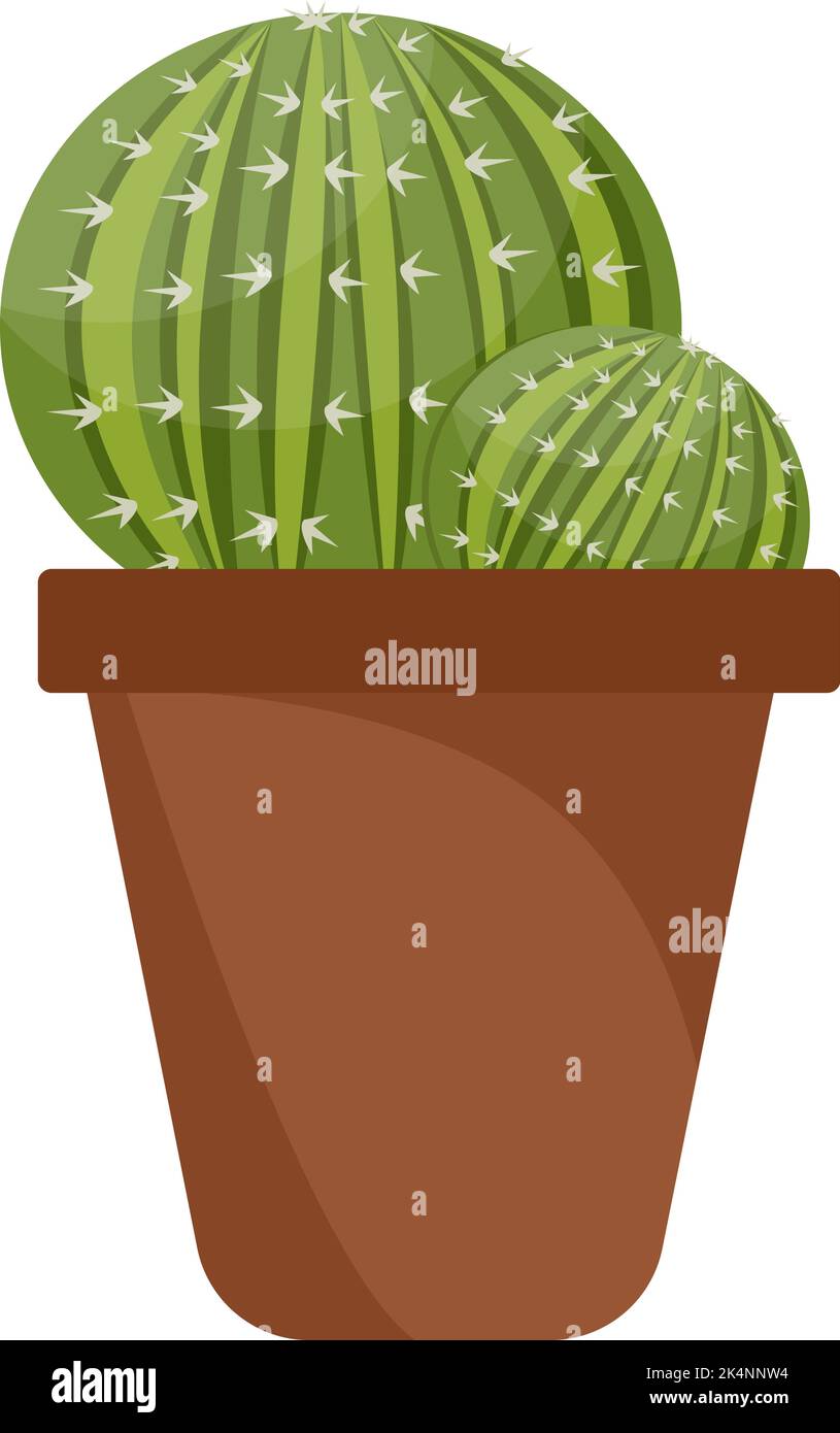 Round cactus in pot, illustration, vector on a white background. Stock Vector