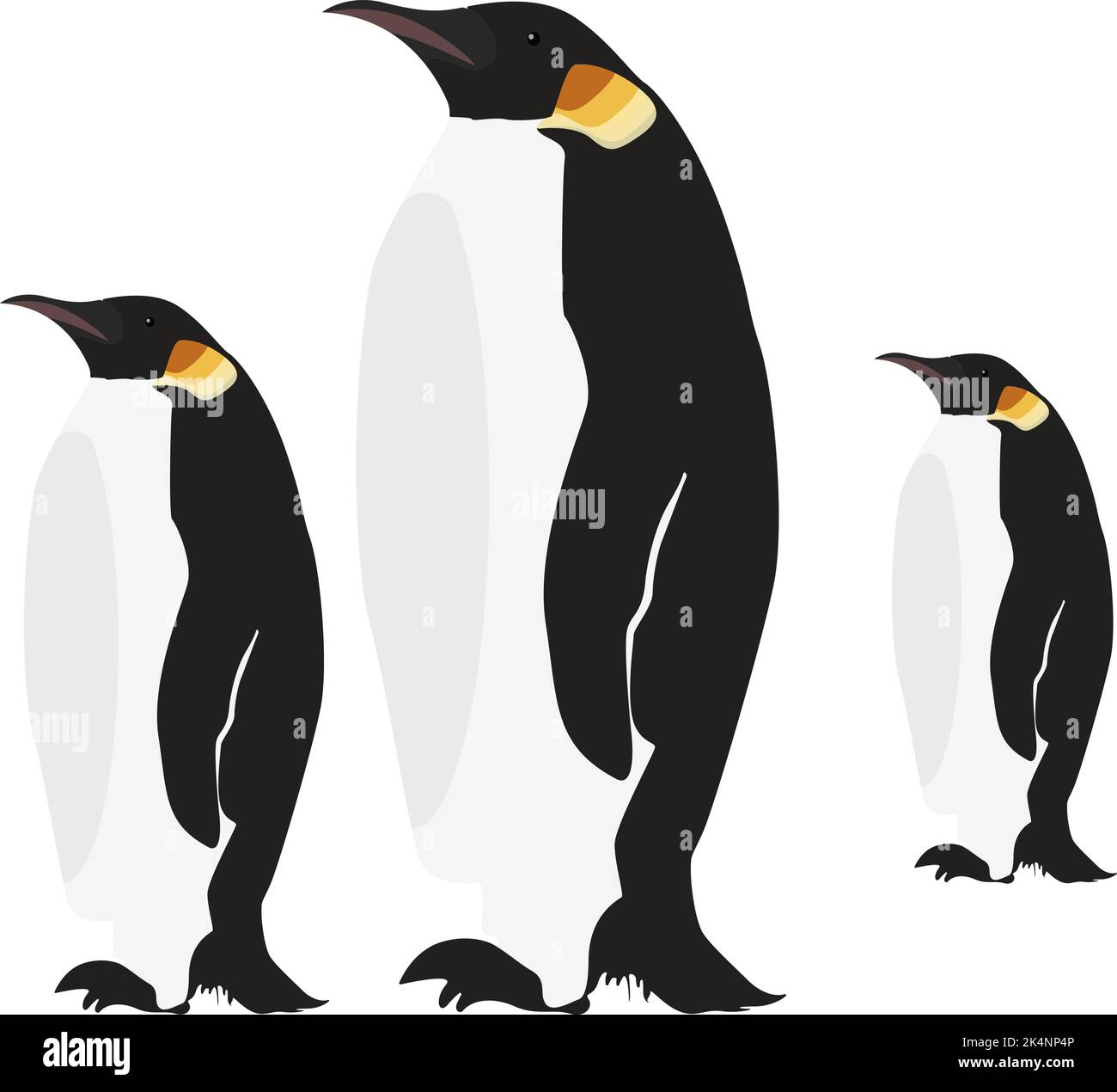 Penguin family, illustration, vector on a white background Stock Vector