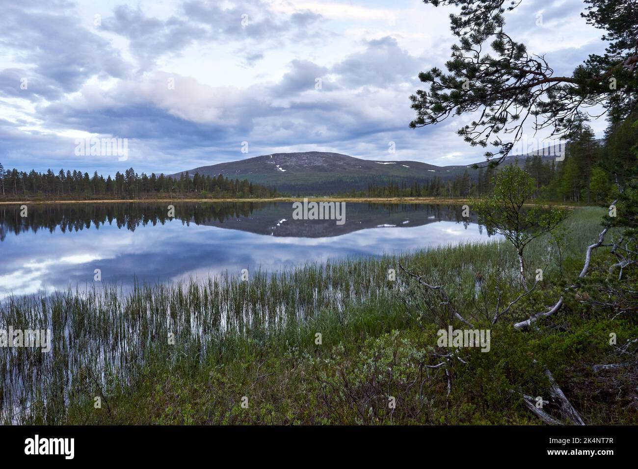 A breathtaking view of a lake surrounded by forest under a cloudy sky ...