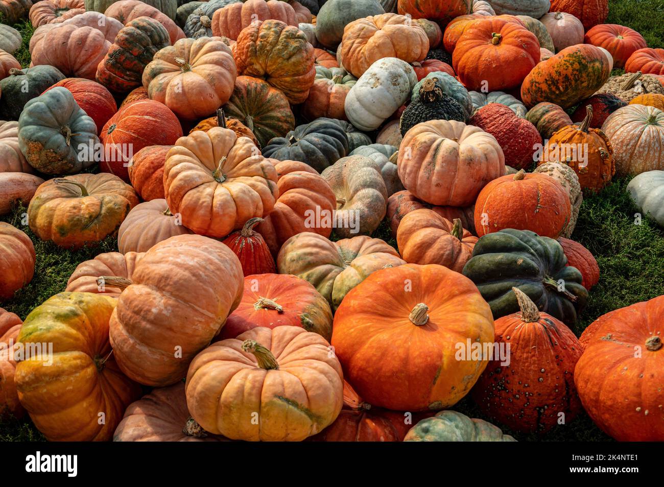 Scenes of Autumn Stock Photo Alamy
