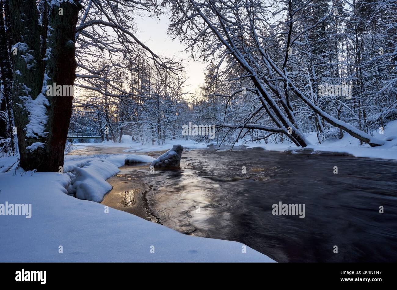 A river flowing over rocks in a forest covered in snow during the ...